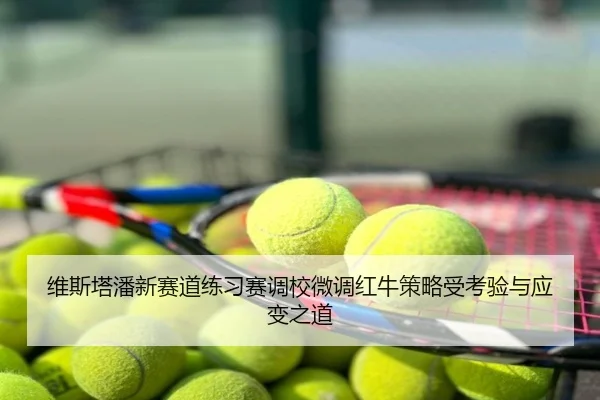 维斯塔潘新赛道练习赛调校微调红牛策略受考验与应变之道